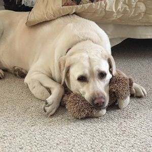 Meet your Posher, Cindy